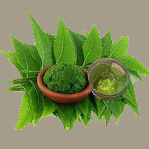 Neem Gel